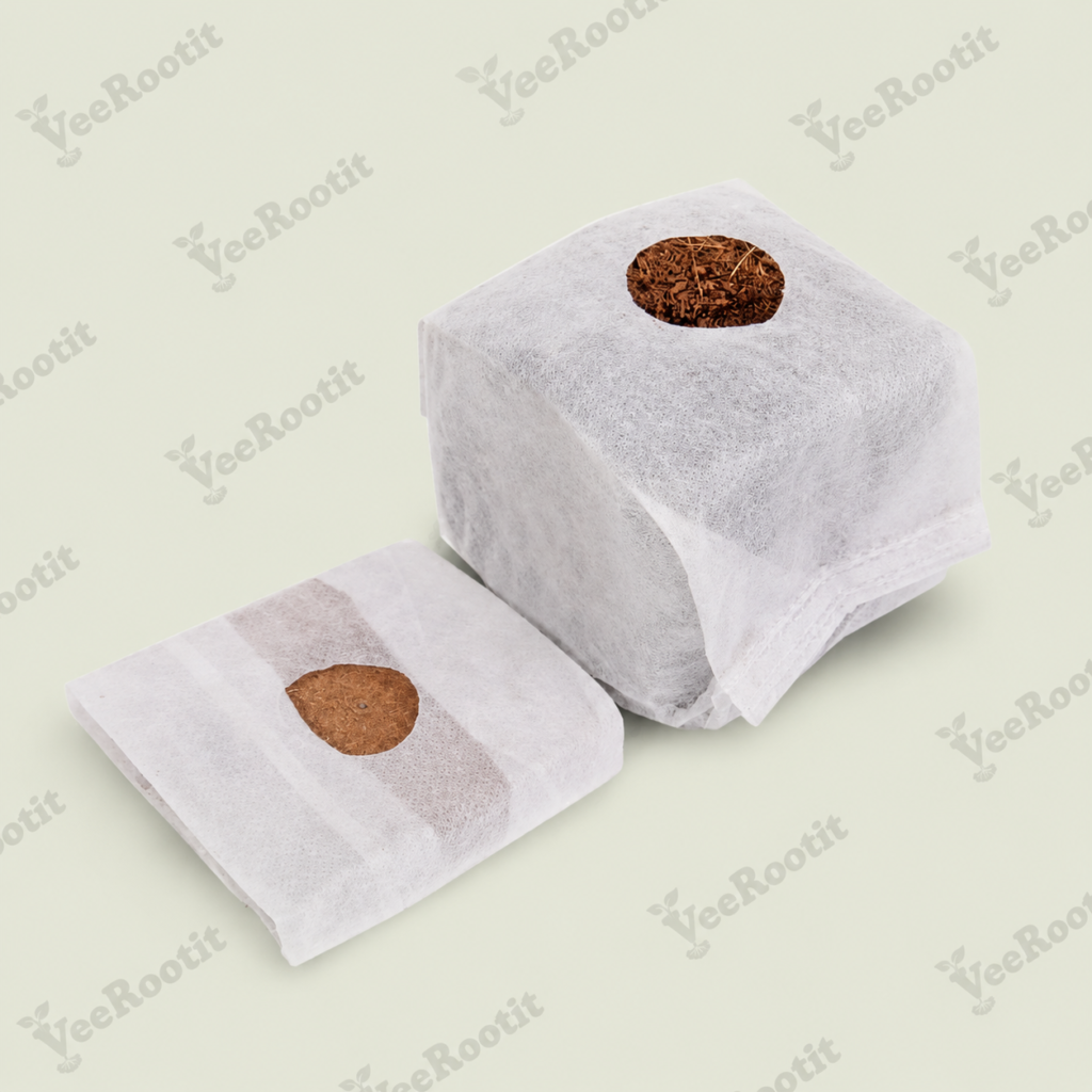 coco starters