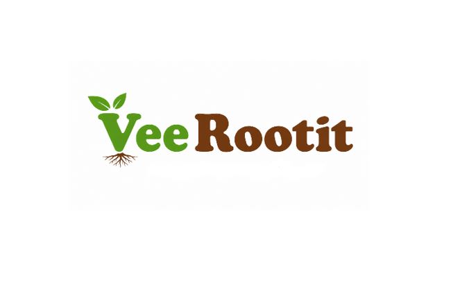 founder and team