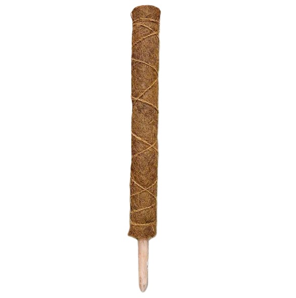 coir moss poles