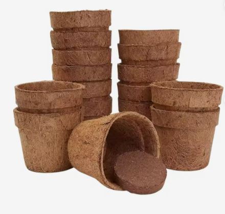 coir pots